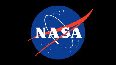 nasa-meatball-11-black-background-oMQH9q.jpg