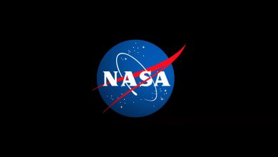 nasa_meatball_large-WQDbGR.jpg
