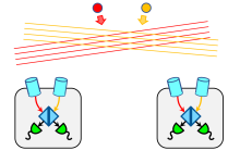 niac-2026-ph1-stankus-2-AfAUbP.png