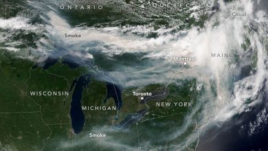 ontariofires_virs3_20260714-ec4TJY.jpg