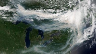 ontariofires_virs3_20260714_th-Cddsom.jpg