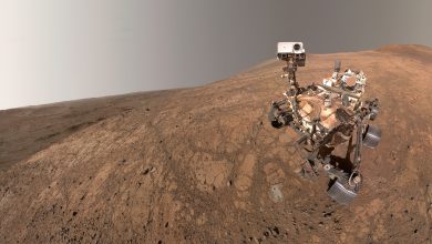 pia26574-selfie-CS3C49.jpg
